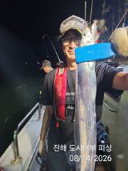 14일새벽 내만갈치 루어 텐빈 잘 올라 옵니다~!! 일.월.화~예약중 사진