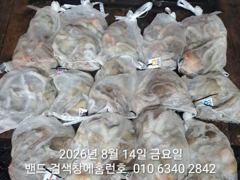 8월13일 군산 홈런호 16명 조사님과 야간 문어 출조 하였습니다.변함없이 반겨주는 문어들 실시간 구경 하세요! 사진