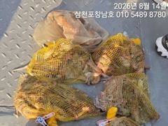 [사천] 문어 오늘오전10시출조확정,토요일오전5시출조 사진