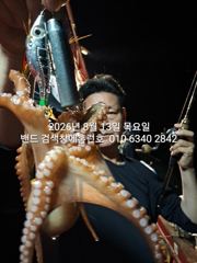 13일 홈런호 야간문어 장원21수 두족류 전문 16인 언제나 굿조황 마무리 합니다 사진