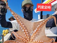 [여수,광양] 8월16일부터 돌문어 자리가능~~~17일.18일 종일반 출조자리… 사진
