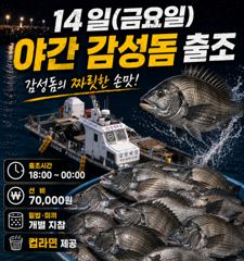 오늘야간감성돔출항확정~ 사진