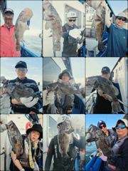 [우럭] ♡다잡아♡(체험) 8월 14일 조황~!^^ 사진