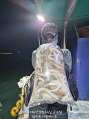 [먹물조황] 삼천포 문어조황! 주간반, 야간반 매일출조!