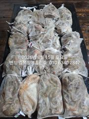 8월14일.군산 홈런호 야간 문어 마무리 조항입니다.조사님들 수고 하셨습니다. 사진