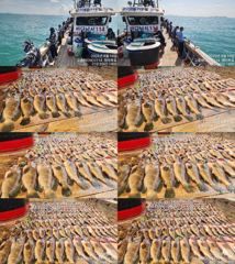 ♥ 붉바리들..이정도는 잡아봐야지요 역대급 초대박 붉바리조황입니다[2026년08월14일] ◎ 해마루호가 뜨는이유? 조황때문이죠 ◎ 핵심포인트: 바로진입.. 바로히트.. ▣ 차원이 다른 조황으로 모십니다 ▣ 요즘 붉바리낚시가 대세입니다 사진