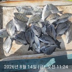 감시 찌낚시 시작합니다~ 사진