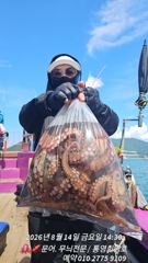 [통영] 문어야!! 어서와 반갑습니다 사진