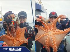 문어] 일요일 야간예약가능~ 1.79k 땡기고 고고!!~ 사진