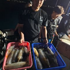 8월14일 제주도 무늬오징어 팁런 조황입니다