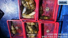 서정호  첫 무늬 조황 사진