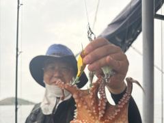 15일 주간 홈런호 문어 실시간 조황 사진