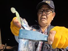 내만칼치ㅡ 바글바글. 잘 나와주네요 (일욜 예약가능) 사진