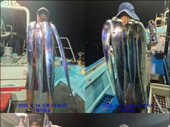 [통영] 통영백가피싱)오늘3자리/오랜만에  먼바다 왕갈치 조황 올려 봅니… 사진