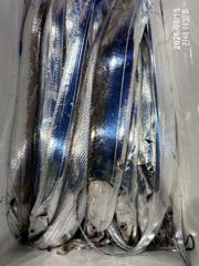 [진해] [15일입항,준내만갈치]대치들점점보이네요!! 월요일부터 예약가능… 사진