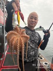 15일 홈런호 주간 문어 실시간 조황 입니다 사진
