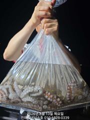 문어] 마릿수 굿!!~ 월욜부터 야간예약가능~고고!! 사진