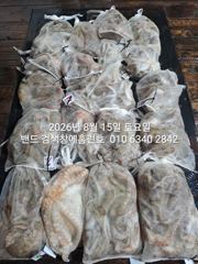 14일 홈런호 야간문어 언제나 굿조황 마무리 합니다 날씨가 좋아져서 쭉 출항합니다 사진