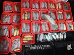[사천] 무늬 팁런 조황~ 마릿수 굿~ 일요일 부터 자리 예약 가능 합니… 사진