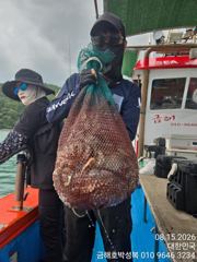오늘도  묵직한 야간 문어선방  하고 왔습니다 사진
