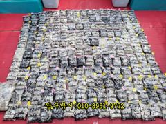 조황정보 - 2026년 쭈꾸미&amp;;갑오징어시즌이 다가옵니다 - 영흥도 짱구낚시 사진