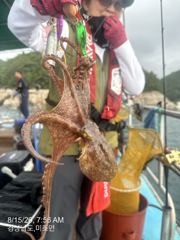 내일 수중전갑니다 자리여유 많습니다  사진