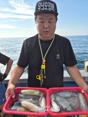 강구 인스타피싱 ~ 무늬팁런..  기상만 좋으면 매일 출항합니다.. 예약가능합니다  사진