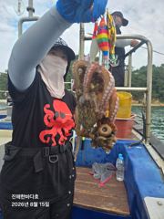 [진해문어낚시] 실시간 굵직굵직 돌문어 쭉쭉올려주시며 찐한 손맛 보고있습니다^0^ 사진