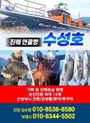 [진해] 8/15 돌문어 조황입니다 일요일 예약가능!! 사진