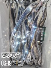 [텐빈]씨알끝장,기본3~4지,쿨러만땅,반쿨(화요일부터 출항)