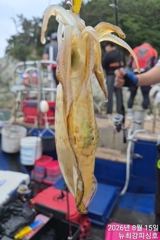 무늬들 줍줍줍~ 손맛 중!!! 17일(월) 널널합니다!!! [1]