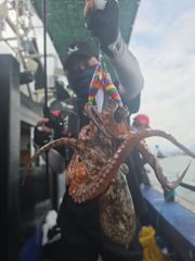 오늘 토욜 돌문어조황.내일 기상악화 휴항.월욜부터 쭉~황금물때 예약중입니다.돌문어 선수 모집. 사진