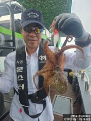 8월 15일 문어조황 사진