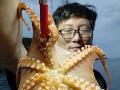 8월15일 토요일 갈매기호 야간문어 실시간 조황 사진