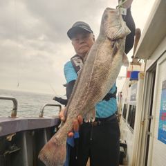 08/15 격포 드래곤 1호 민어 농어 참돔 조황입니다~!!!