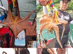 ★★김대영호★★야간 문어 조황~!!(8/150 사진