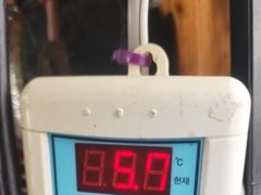 오늘의 조황 - 8/14 야무진호 (샤크호) 광어사냥 ~ - 오천항 샤크호 사진