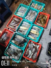 오늘 팁런 예약중입니다 내일 주간문어 정상출항합니다  사진