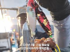 8/15일, 야간문어~부쩍 커진 군산 문어 ~실시간~오늘도 갑니… 사진