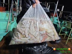 문어잘 나옵니다. 내일 출항 문의 바랍니다.  사진