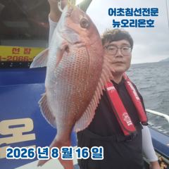 <뉴오리온호> 생미끼 실시간 조황(16일)-금일 야간 문어,고등어 자리있습니다.