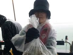 [사천] 내일부터 쭉~돌문어출조 예약중입니다 자리있습니다 사진