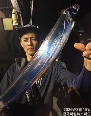 준내만갈치씨알보소입항철수조황(내일예약가능) 사진