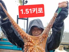 [여수,광양] 8월16일 수중전중~~~2키로오바.1.5키로.15키로~~~ 사진