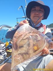 [여수,광양] ※※※※돌문어 내일 출동※※※※ 사진