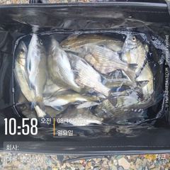 [고성] 벙산  감성돔 농어마리수 비속의 선외기 조황~~ 사진