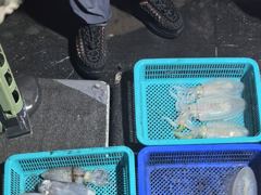 8월15일 무늬오징어 초보분들도 손 맛을 보고 가셨습니다 사진