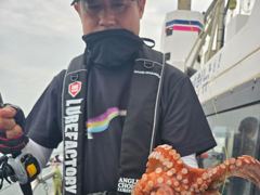 [진해문어낚시] 묵직하게 올라오는 돌문어 쭉쭉 올려주시며 찐한 손맛 보고왔습니다^0^ 사진
