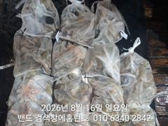 8월15일 군산 홈런호 야간 문어 마무리 조항 입니다 악조건 속에서 조사님들 수고 하셨습니다. 사진