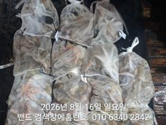 15일 홈런호 야간문어 마무리 언제나 굿조황 입니다 사진